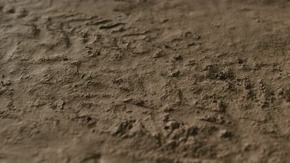 Wheel Tracks on Rough Road alt