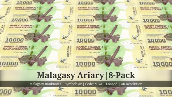 Malagasy Ariary | Madagascar Currency - 8 Pack | 4K Resolution | Looped