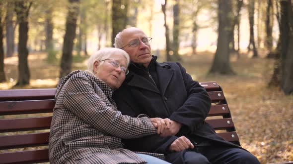 Happy Aged Couple Sitting on Bench in Park