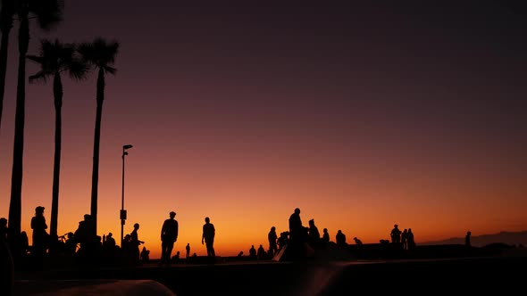 Silhouette of Young Jumping Skateboarder Riding Longboard, Summer Sunset Background, Venice Ocean