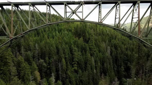 flying below of a bridge and on top of a forest, The High Steel Bridge is a truss arch bridge that s