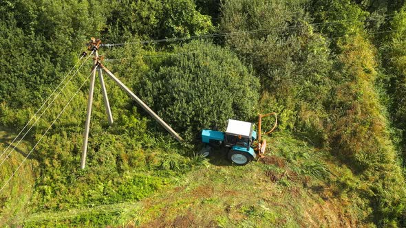 Elevated View Trees Trimming Using a Flail Hedge Cutter Attached to Blue Tractor Along the Side of