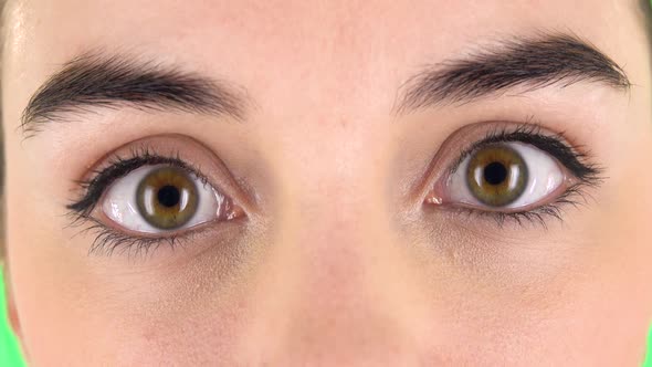 Macro Shooting, Female Brown-green Eyes Is Surprised