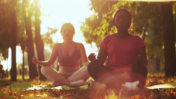 Yoga Together Meditation Outdoors Park Women Lotus