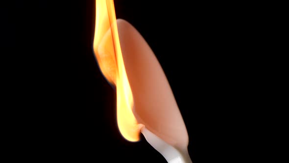 Flame burns isolated plastic spoon against black background. Concept for global warming and sea poll