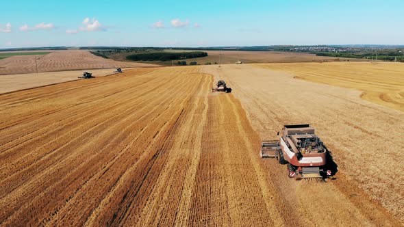 Harvesting Machines at a Big Farm. Aerial View of Modern Combine Harvesting Wheat