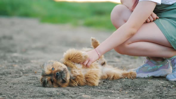 Happy Girl Play with Little Puppy