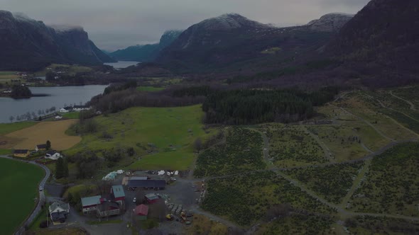 Aerial View Of Christmas Tree Plantation Surrounded By Mountainous Landscape. drone tilt down