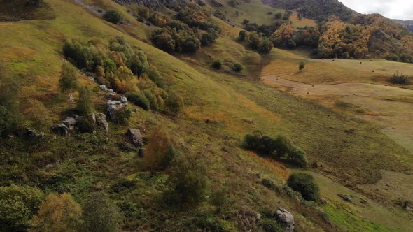 Aerial View of Autumn Landscape Yellowgreen Slopes of Autumn Mountains Low Flight