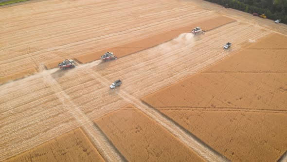 Aerial View on the Harvesters Working on the Large Wheat Field. Harvesting Agricultural Golden Ripe