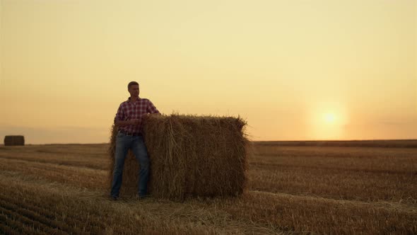 Farmer Stand Haystack Field Alone at Golden Sunset