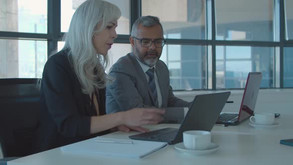 Female Manager Presenting Project To Customer