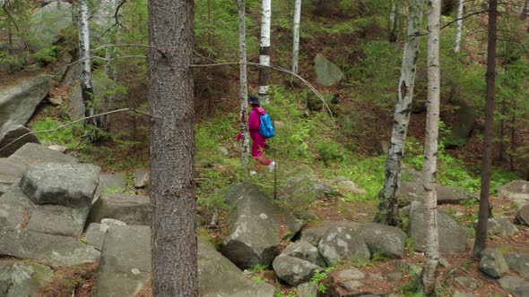 Aerial View of a Girl Walking in the Woods