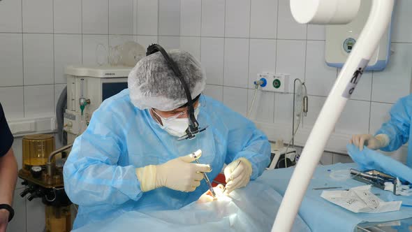 Dental Surgeon Giving Anesthesia Injection While Performing Surgical Intervention