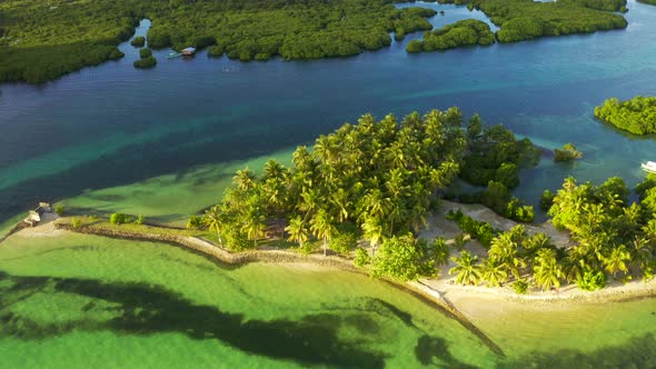 Tropical White Sand Beach with Coconut Palm Tree Background Idyllic Turquoise Sea Aerial View