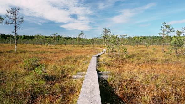 Beautiful Wooden Path Over Swamp in Finnish National Park Finland