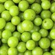Panning Indians gooseberry - VideoHive Item for Sale