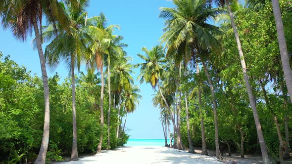 Beautiful birds eye island view of a white paradise beach and blue water background in hi res 4K