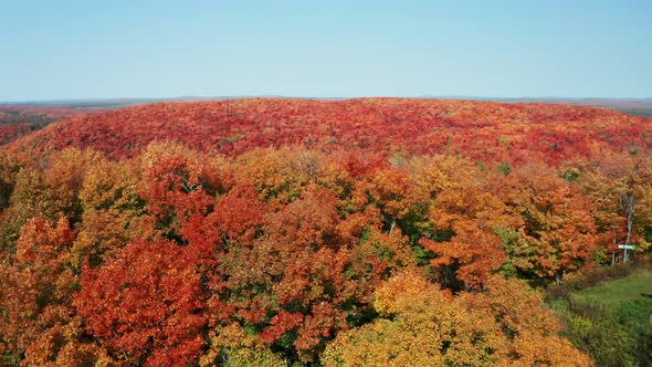 Aerial ascending view of colorful forest with changing leaves in autumn extending onto rolling hills