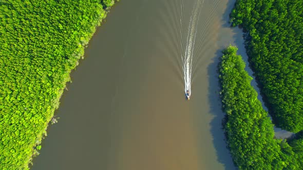 Top view of the boat cruising along the river with mangroves surrounding.