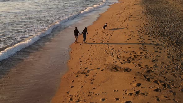 Aerial shot of a couple walking their dog on the beach