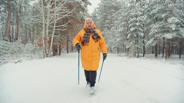 Hiker Practicing Nordic Walking In Forest. Sticks Walking Winter Wood. Nordic Walking Trekking Stick