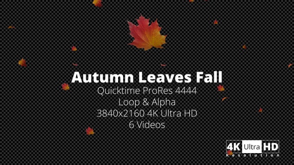 Autumn Leaves Fall 4K