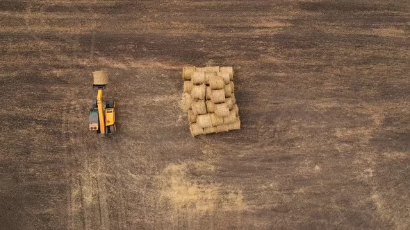 Aerial View of the Tractor Collects Straw in the Field and Makes Haystacks