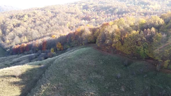 Aerial view of hills on autumn season. Fall colors of a forest in Autumn Season