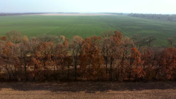 Aerial Drone View