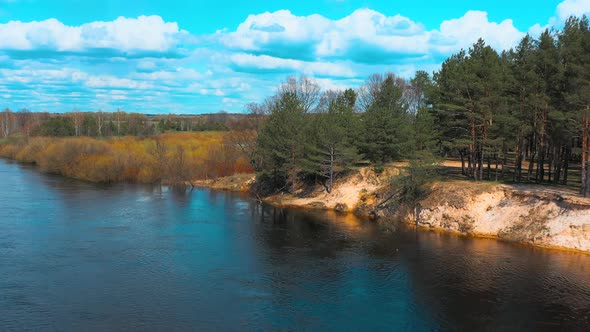 4K Aerial View Of Pine Trees Growing On River Coast.