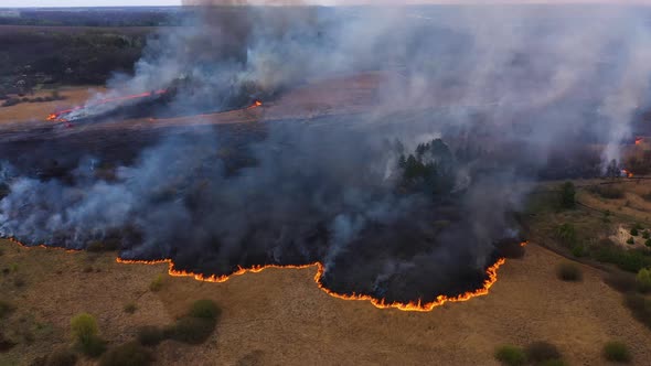 Flying above fire in the nature. Smoke clouds fly over fire. Concept: Ecology, nature, 2020