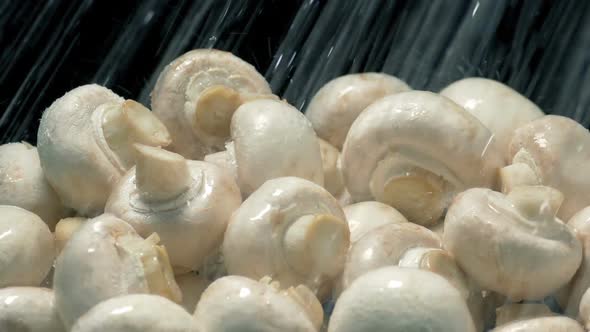 Mushrooms Get Washed In Water Spray