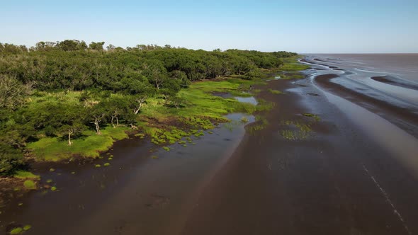 Rising aerial of woodlands and sandbanks by edge of Rio de La Plata