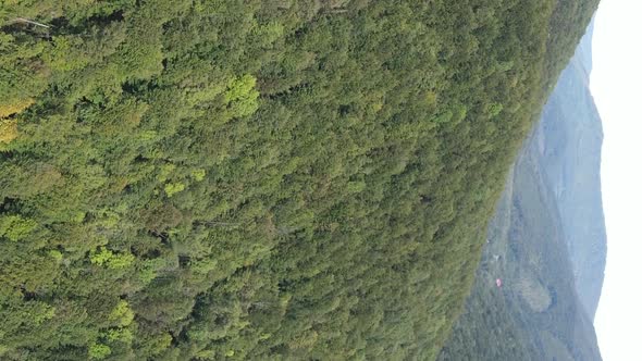 Vertical Video Carpathian Mountains