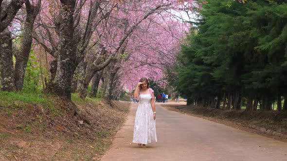 Woman in White Dress Enjoy Sakura Blooming in Garden Spring Cherry Tree Blossom