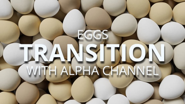 Eggs Transition 4k with Alpha channel