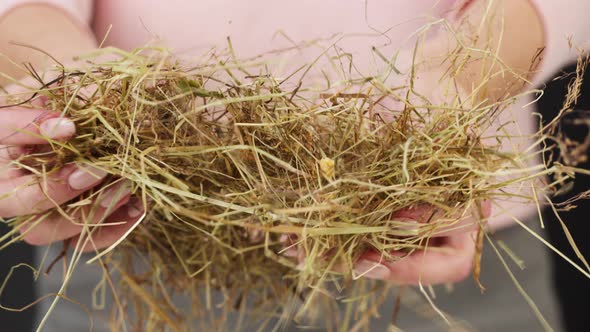 Woman Holding Hay Closeup