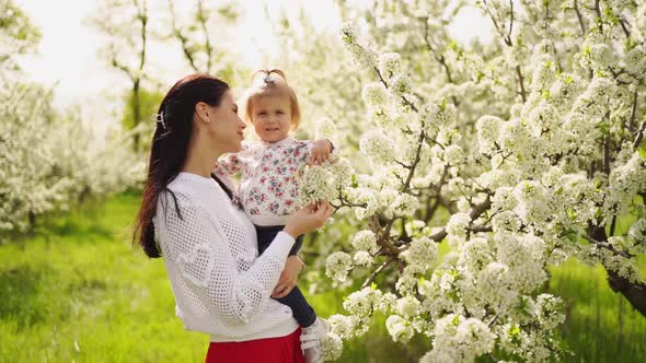 Mom with a Little Daughter in Her Arms in the Park By a Flowering Trees