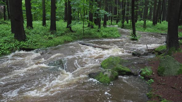 Flooded river Doubrava in Czech Republic. Valley Doubrava near Chotebor.