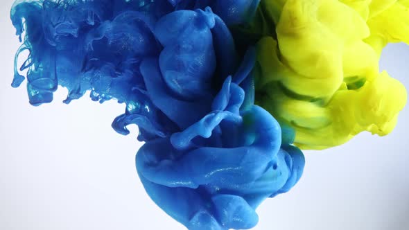 Colorful Nacreous Paint in Water Against White Background. alt