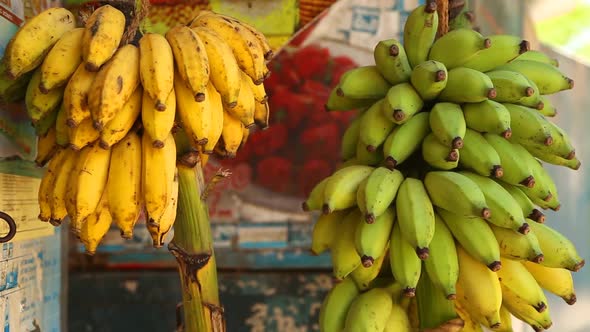 View of bananas hanging in local shop in Mirissa, Sri Lanka.