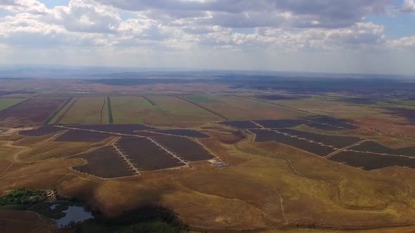 Divided Plantation Plots from Height