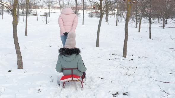 Riding Sledge on Path