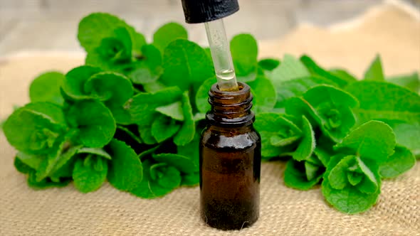 Essential Oil and Mint Extract in a Small Bottle