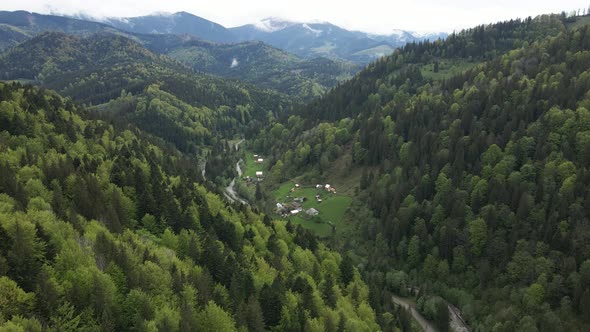 Ukraine, Carpathian Mountains: Beautiful Mountain Forest Landscape. Aerial