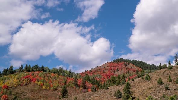 Cloud moving over hills will trees in Fall color in Idaho