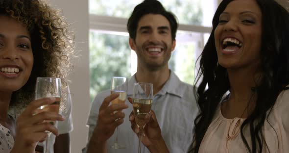 Portrait of happy friends showing wine glasses