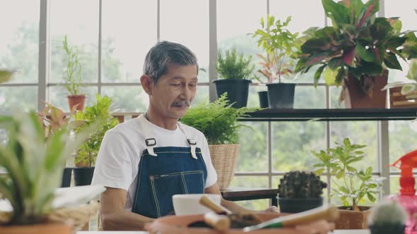 Agriculture concept. An Asian old man is reading a book to care for the trees inside a greenhouse.