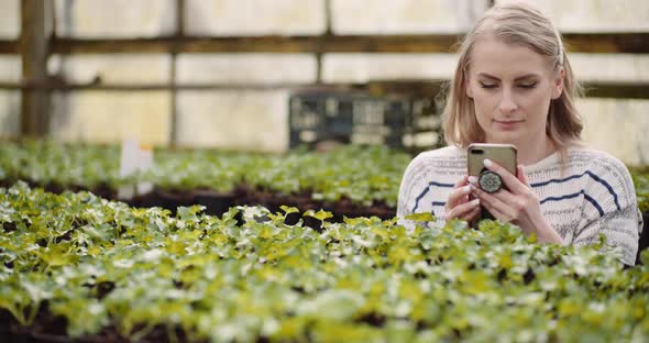 Agricuture - Female Gardener Working with Flowers Seedlings in Greenhouse